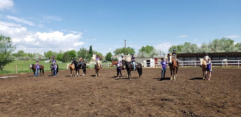 Summer Camps – Complete Equestrian